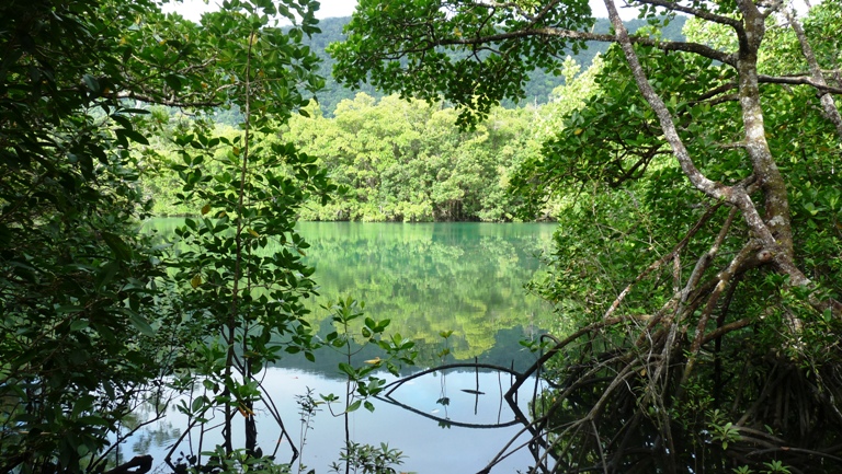Noah Creek